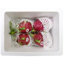베트남 용과 4입(2kg) / 드래곤 후르츠 외국 과일 제철 봄 열대 수입 생과일, 단품, 단품