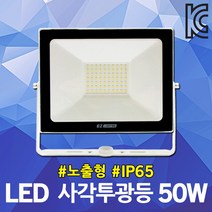이지레드 LED사각투광등50W 야외등 간판등 방수투광기 외벽등 간판조명 주광색 방수투광기 캠핑등 건물외관등 노출형 방진 실외등 야외조명 벽부설치 옥상등 실외LED등 IP65 HQI