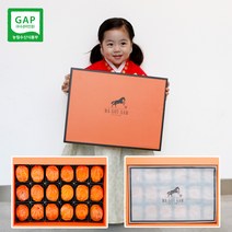 마곶감 4호 1.7kg 1+1 영동 대봉반건시 설 명절선물 곶감세트, 2박스