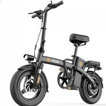 중국 독일합작 sumad 전기 자전거 전동 pass 자전거 48v 가성비 스쿠터 해외, 13A 약 65KM