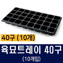 [비료컴퍼니] 육묘트레이 40구(10개) - 육묘포트 트레이 상토 화분 흙 비료 배추 상추 고추 모종
