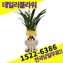 산천보세 동양난 란 개업 승진 인사이동 축하 고급난
