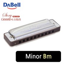 하모니카 스토리 1101 마이너 Bm