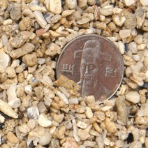 산호사 3~5mm(약3.5kg)