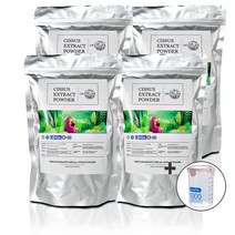 OENY 시서스가루 500g 50배고농축 24개월분 CISSUS EXTRACT 100%, 1개, 500gx4