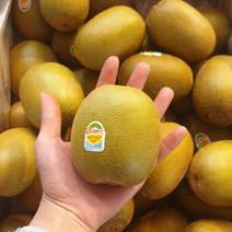 프리미엄 제스프리 제주 골드키위 5.8kg 2kg 생과일, 2.8kg 20~25과(랜덤발송)