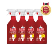 LG생활건강 주거균일가홈스타 뿌리는 곰팡이 싹 750ml x 4개