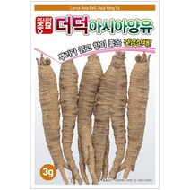 팜스마켓 더덕 씨앗 3g 더덕씨 종자 토종약초, 1.더덕씨앗 3g