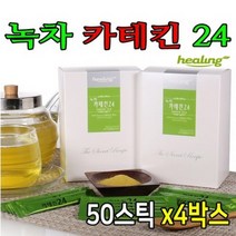 리얼 녹차 카테킨24 리얼녹차추출분말100% 카테킨200스틱 녹차칵테일 폴리페놀 체지방관리 그래뉼, 0.4g, 200스틱