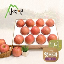 [2023햇사과] 산지애 알뜰 못난이사과(대과) 4kg 1box