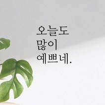 큐데코 감성 명언 레터링 스티커 포인트스티커, 01.많이예쁘네-블랙*사이즈-M