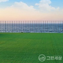 그린세상 국내산 조경용 고밀도 인조잔디 폭2M X 길이5M 재단판매 3평시공, PX2800K(고밀도), 폭2M x 길이5M(3평)