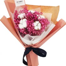 지나로즈 여친선물 드라이플라워 프리저브드 안개꽃다발 솜사탕 목화꽃다발 3Color, 레드