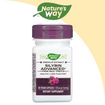 네이처스웨이 실리빈 어드밴스드 120 mg 60캡슐, 1개, 기본