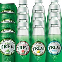 트레비 300ml 500ml x 20펫 탄산수 탄산음료 플레인 자몽 레몬 라임, 04.트레비 (플레인) 300ml x 2