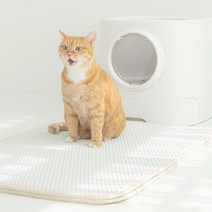 펫트리움 고양이 사막화방지 뽀송매트 모래매트, 아이보리