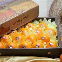 제주 천혜향 선물세트 3kg 대과 지정일예약 고당도 제철과일