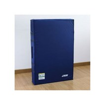 스포타임 - 착지매트 일자형 300x200x30/고탄성스폰지, 스포타임 착지매트 일자형 300x200x30