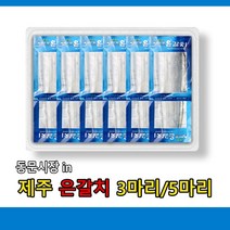 제주도 성산포 은갈치 3마리 5마리(3지사이즈), 5마리(할인)