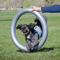 FitPAWS Circularr 개 트레이닝 링 도넛 베이스