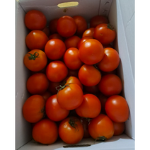 국내산 토마토 5kg 산지직송 완숙토마토 카페 음식점 식재료 쥬스 완숙 tomato, 1박스