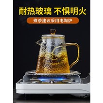 옹기약탕기 고온 두꺼운 필터 주전자 미니 가정용 차 세트 메이커에 저항하는 Mesney 유리, [13] 미니 냄비 손잡이 단열재, [01] 301mL포함-900mL포함