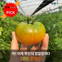 [토마토의민족] 대저 토마토 짭짤이 토마토 당도보장 농장직송 로얄과 2.5kg / 5kg, M 사이즈 2.5kg