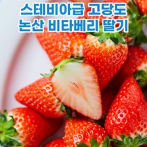 고당도 논산 비타베리딸기 비타딸기 논산비타베리 맛있는 곳, 고당도 논산 비타베리 딸기 800g 24~30입 내외