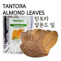 아쿠아시스템 탄토라 알몬드잎 M
