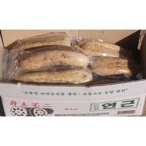 대구반야월농협연근작목반 진공연근(특)5kg