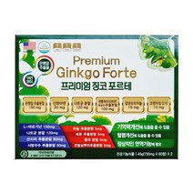 프리미엄 징코 포르테 120정
