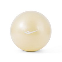 프로스펙스 안티버스트 짐볼55cm, -