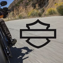 할리데이비슨 신형로고 스티커 데칼, 180x150mm, 주황