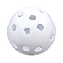 Jef World of Golf Gifts 와 Gallery Inc. 연습용 골프공(화이트)