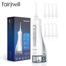 2022 Fairywill 물 Flossers 300ML 구강 Irrigator 충전식 대용량 휴대용 치과 탱크 방수 치아 청소, CHINA_FW-5020E-Gray