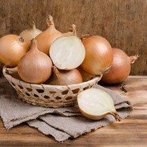 승원식품점 [산지직송] 23년 무안양파 5kg / 대