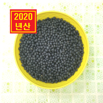 안토시아닌이 풍부한 국산 약콩 서목태 쥐눈이콩 초콩 3kg, 1개