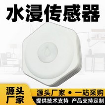 수도배관누수 베란다누수 스마트홈 ZigBee 미니형 물침 무선 모니터링 센서 프리미엄 워터 탐지기 배터리, 블루투스 Zige LoRa 배터리 전