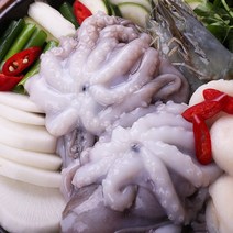 냉동 활낙지 8마리 850g