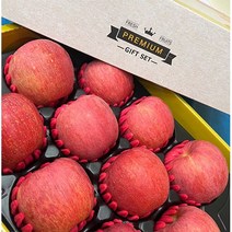 [한주네 청송 사과] 선물용 프리미엄 청송 부사 사과 세트 5kg, 1박스(10~11과 5kg)