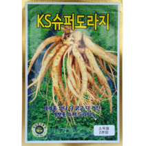 식물의집 슈퍼도라지씨앗 맛있는 도라지 씨앗 씨