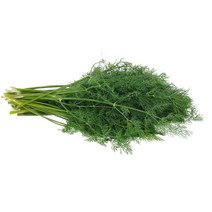 딜 생잎 10g DILL 향신료 허브