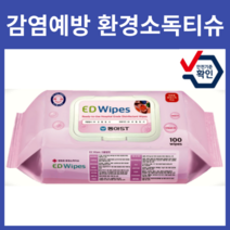 이디와입스 병원 의료용 환경소독 물티슈 캡형, 100매, 1개