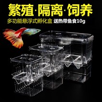 분할어항 걸이시격리통 어항아크릴칸막이 배면수조 000095803, 01 부화함 트럼펫 송어식