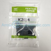 Goyen K2034 펄스 밸브 RCAC20T4 CAC20FS4 3/4 