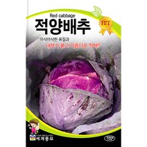 적양배추씨앗 배추 씨앗 양배추 씨앗 종자 200알, 1개