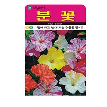 SN월드 씨앗 고급꽃씨 꽃씨앗, 고급 - 분꽃(20립)