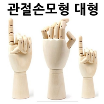 오너클랜 관절손모형 대형 손골격모형 구체관절인형, 단일