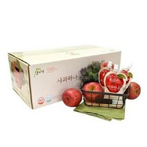 산지애 사과하나 120ml 30포 1개