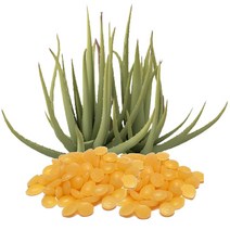 림스아로마 칸데릴라왁스, 칸데릴라왁스 500g(파우치)